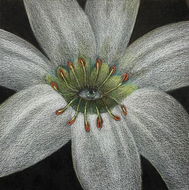 Color pencil drawing of a white flower with an eye at its center
